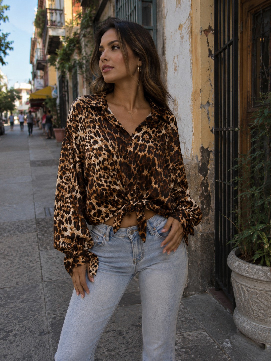 Alina Leopard Print Blouse
