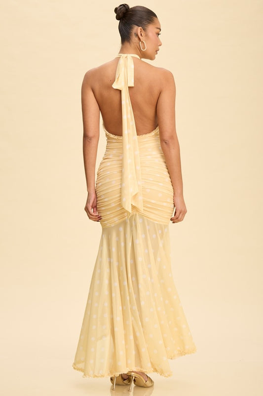 Diana Polka Dot Dress